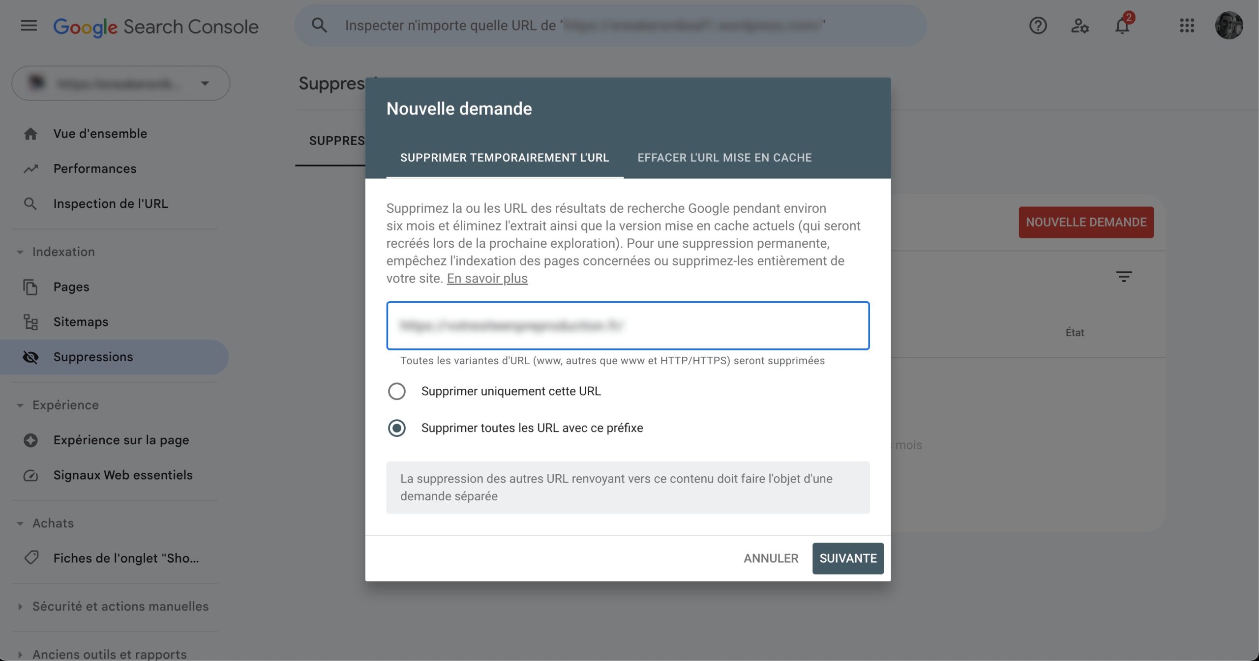 Suppression d'un site dans Google Search Console