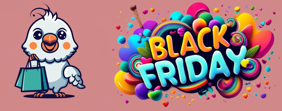 SEO Black Friday